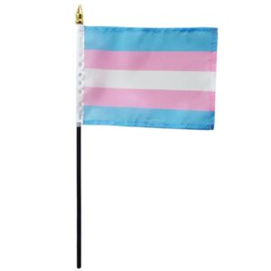 flag-transgender-stickflags-4x6