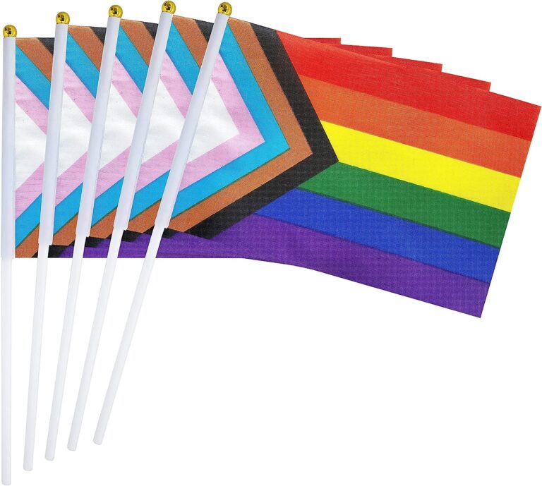 Pride Flagga Pinne (30 x 45 cm / 76 cm pinne) main image 0